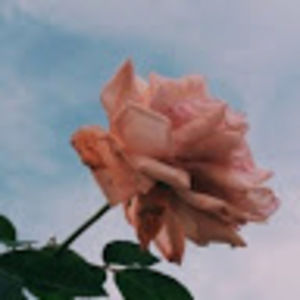 Meet your Posher, Grecia